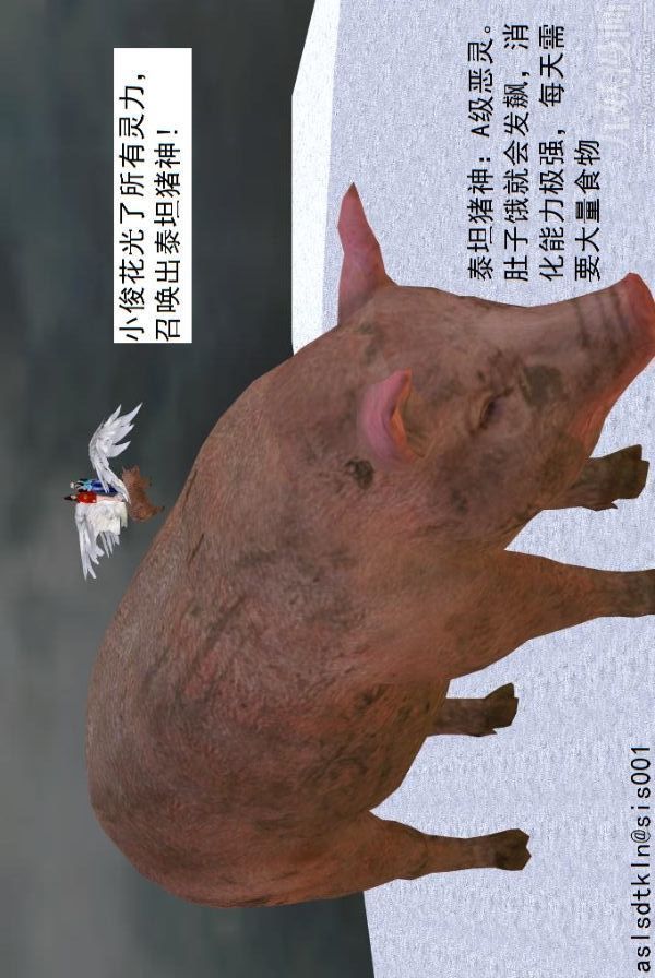 33.jpg