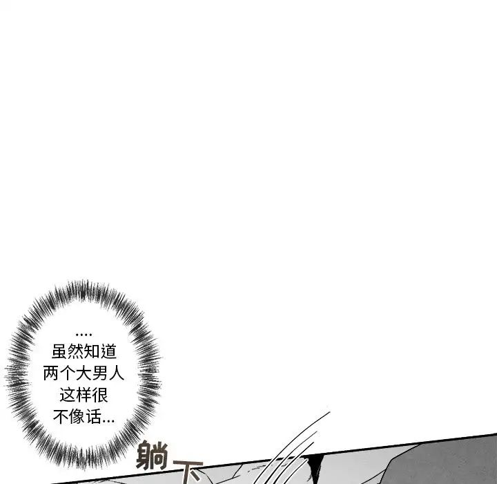 25.jpg