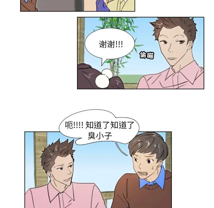 46.jpg