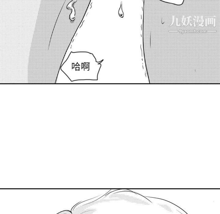 53.jpg