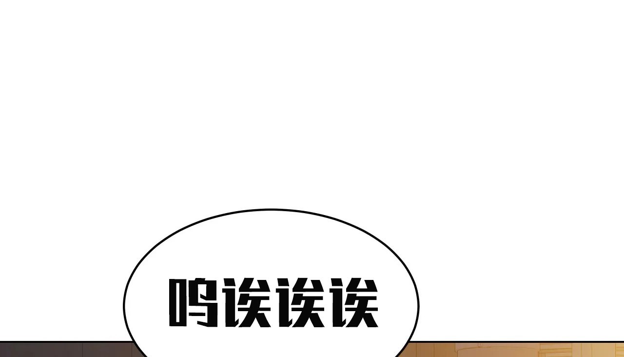 101.jpg