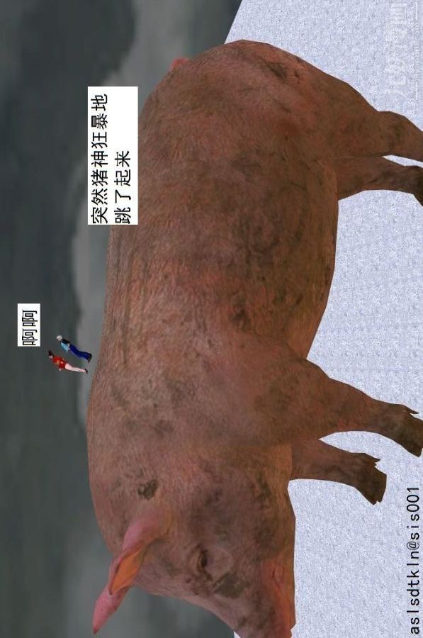 39.jpg