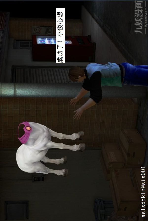 25.jpg