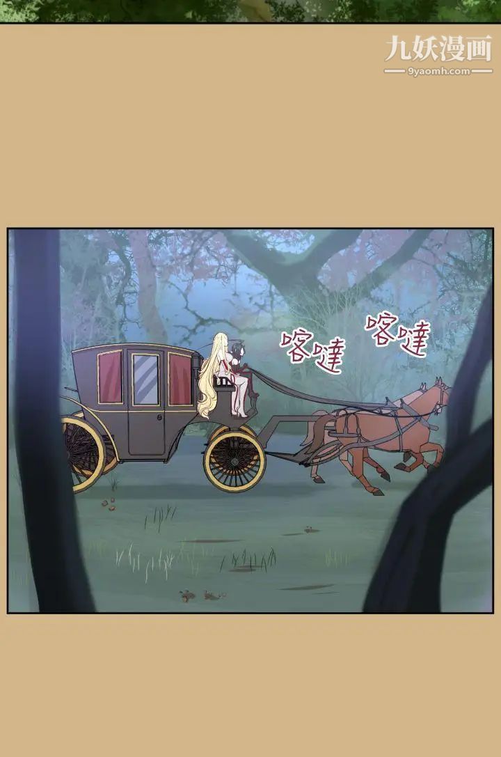 43.jpg