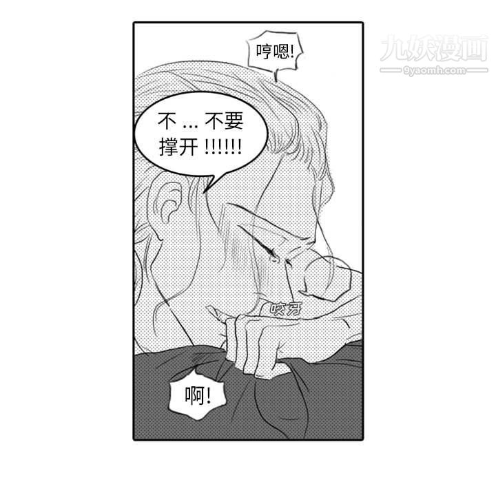 51.jpg