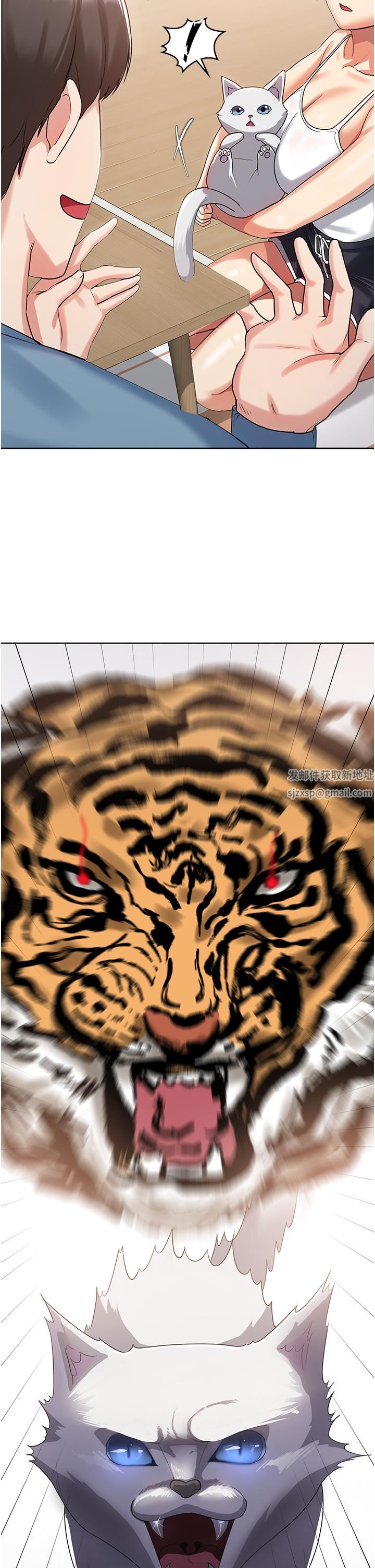 47.jpg