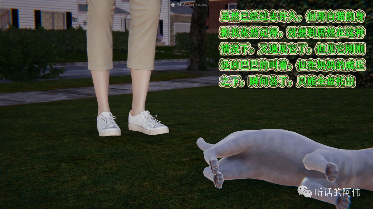 36.jpg