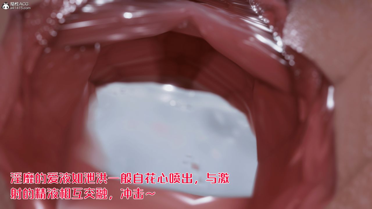 41.jpg