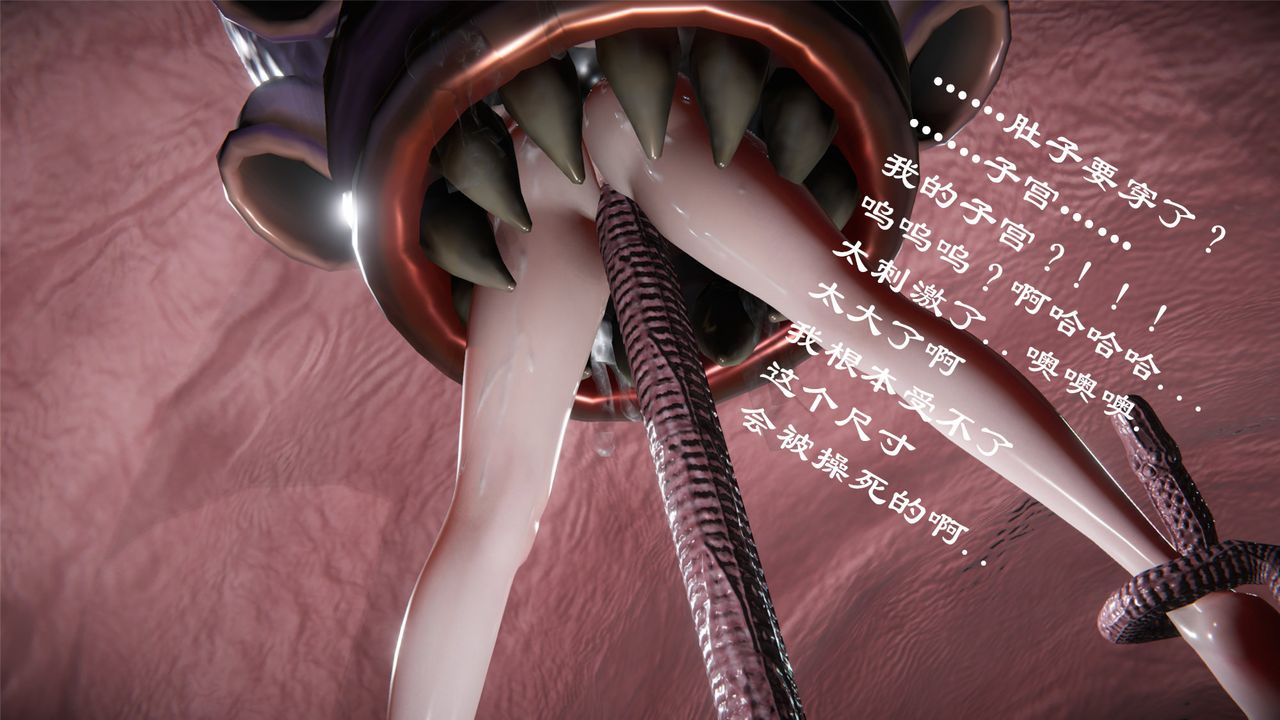 41.jpg