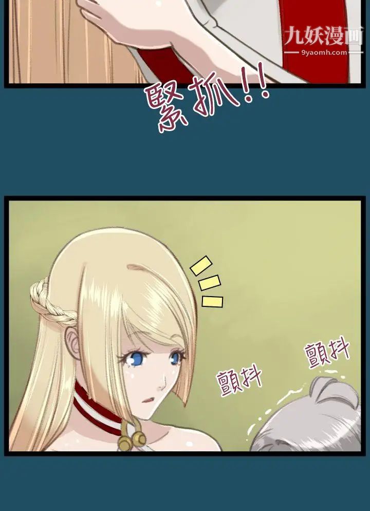 41.jpg