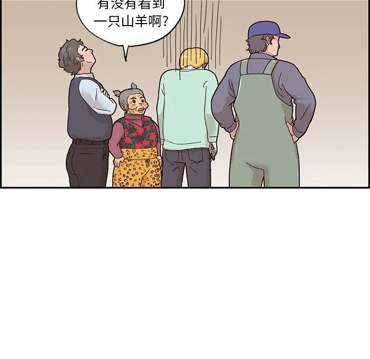 91.jpg