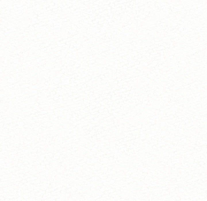 119.jpg