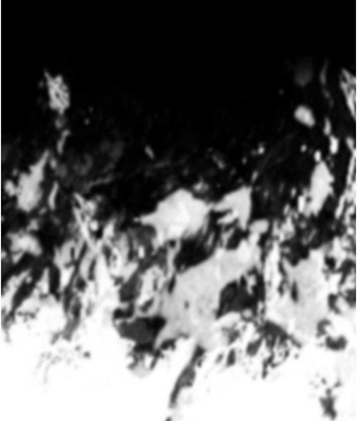114.jpg