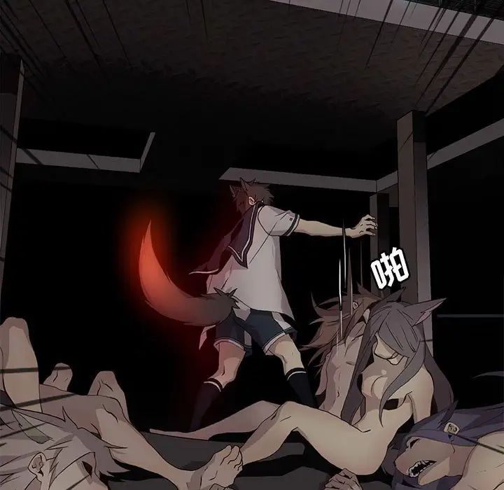 61.jpg