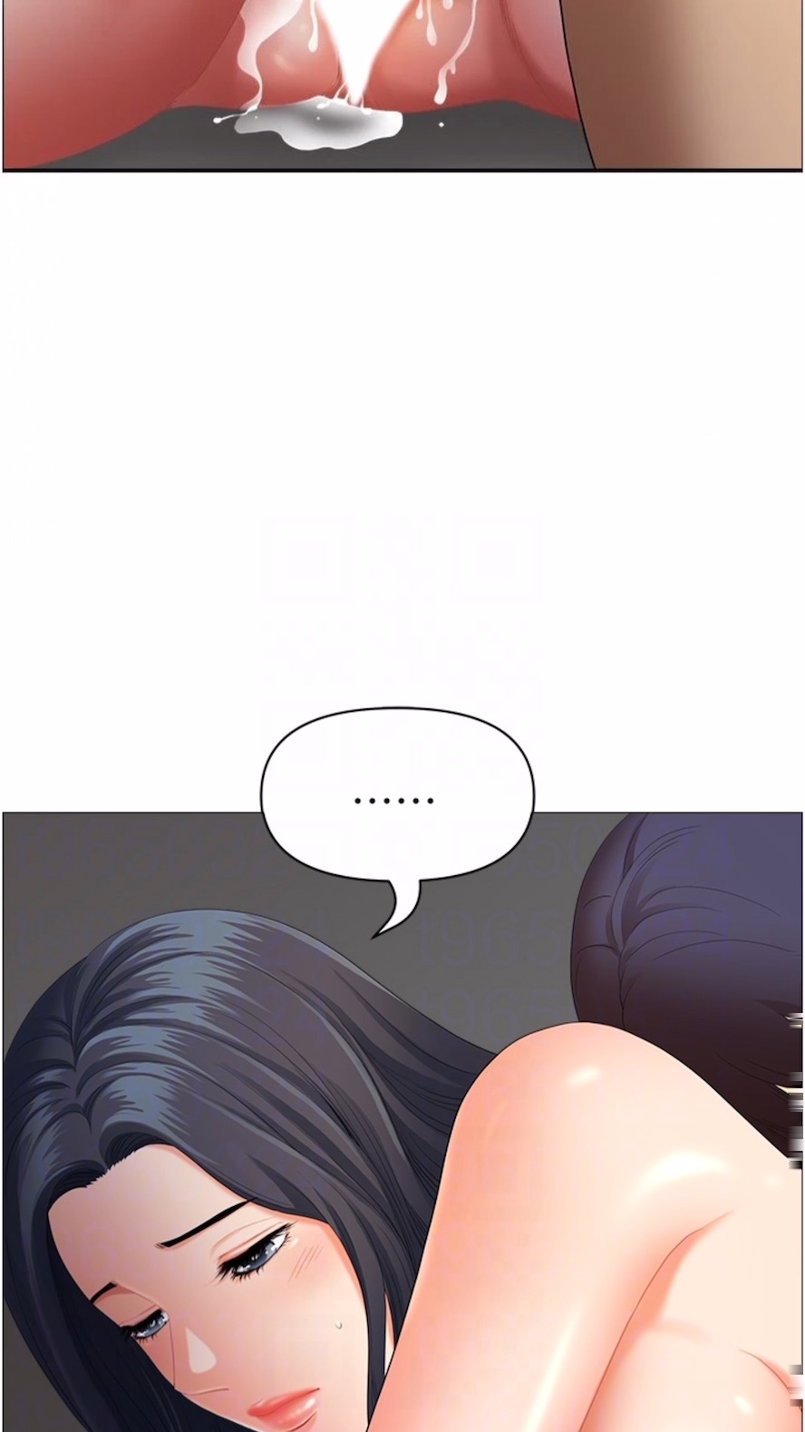 41.jpg