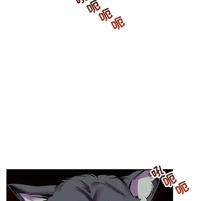41.jpg
