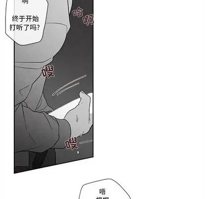 95.jpg