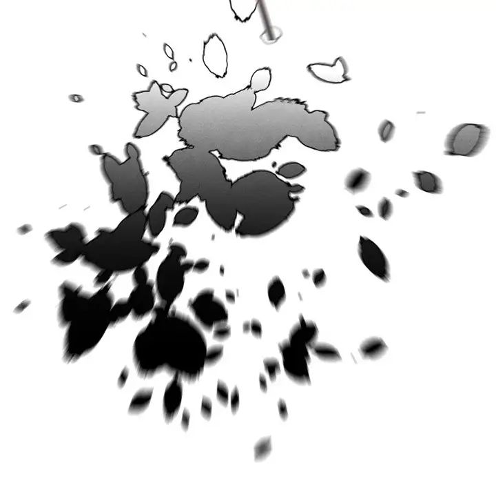 97.jpg