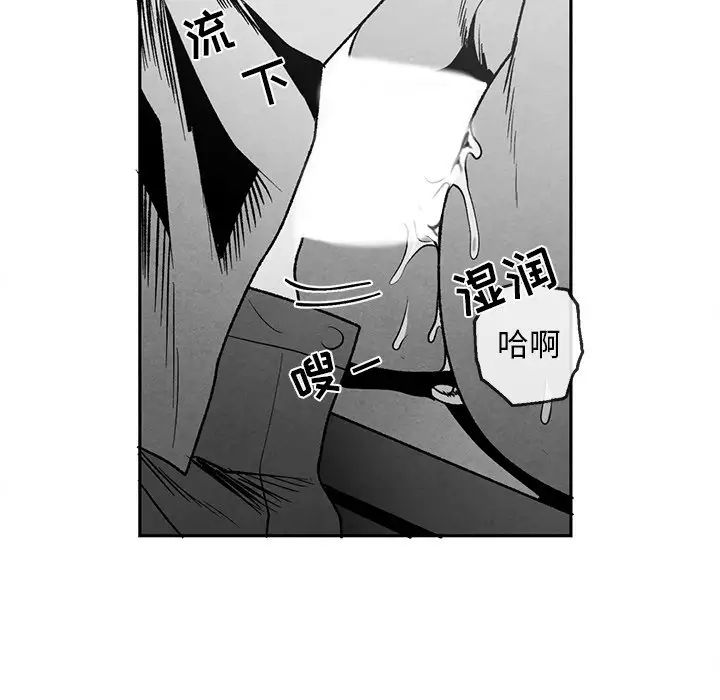 81.jpg