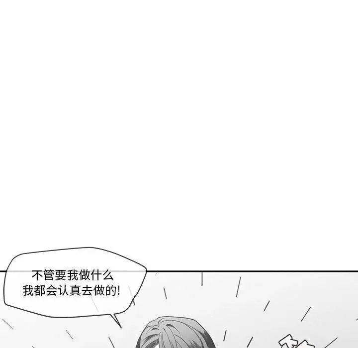 96.jpg