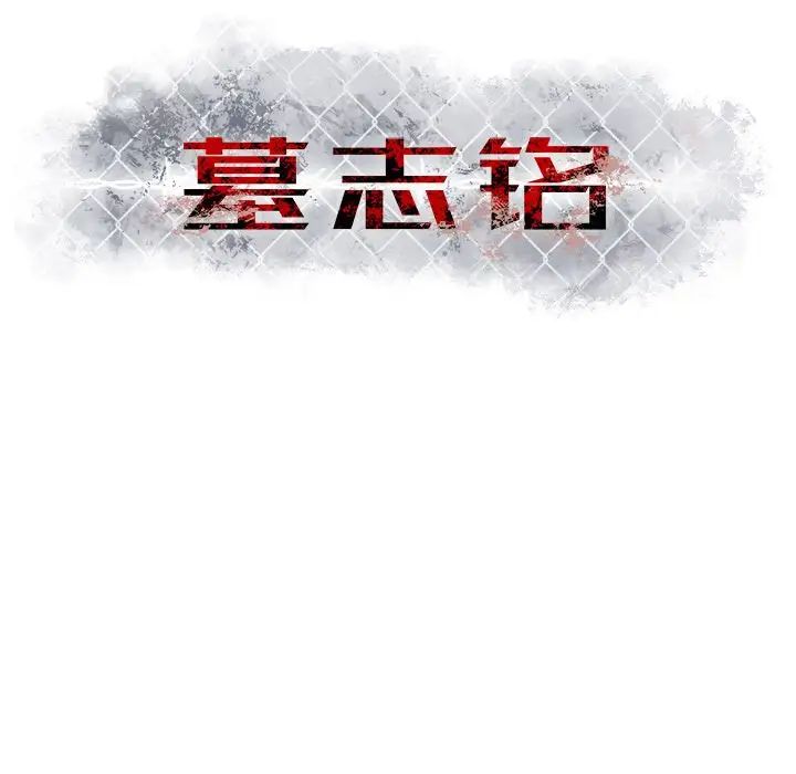 113.jpg