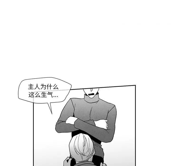 86.jpg