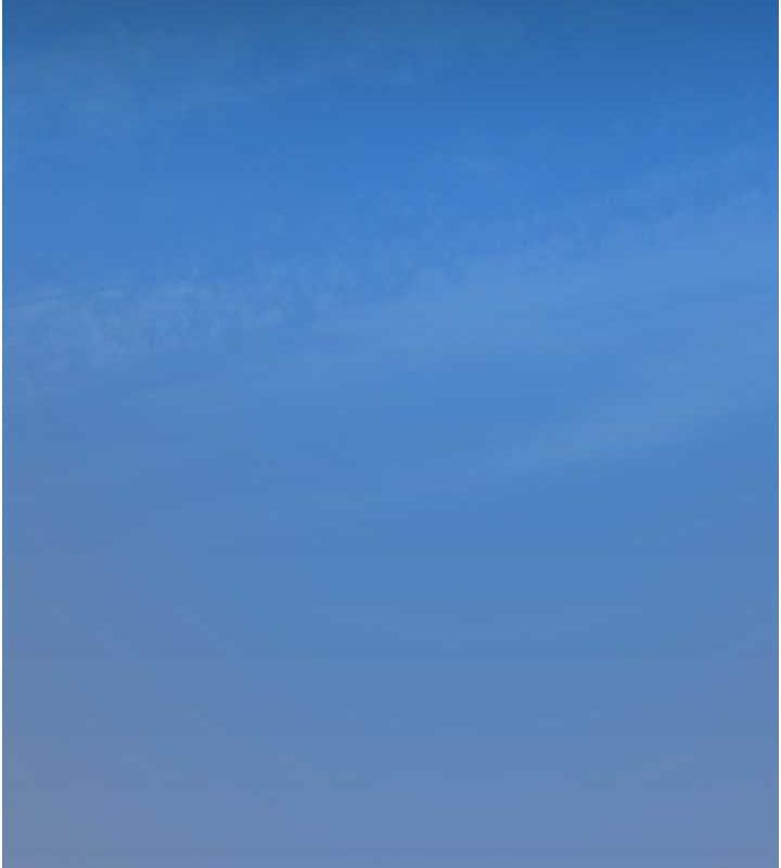 55.jpg