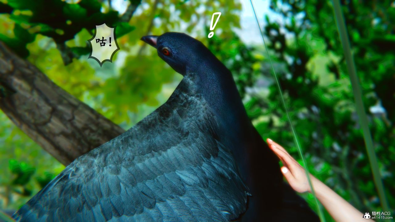 5.jpg