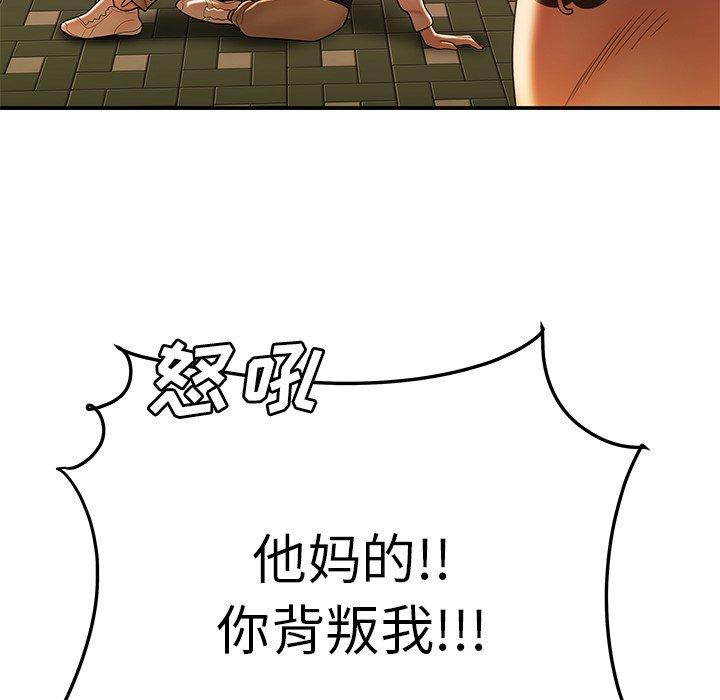 141.jpg