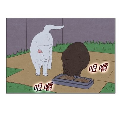 96.jpg