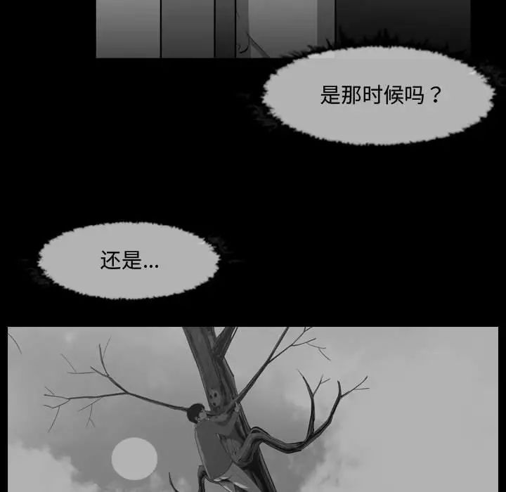 77.jpg