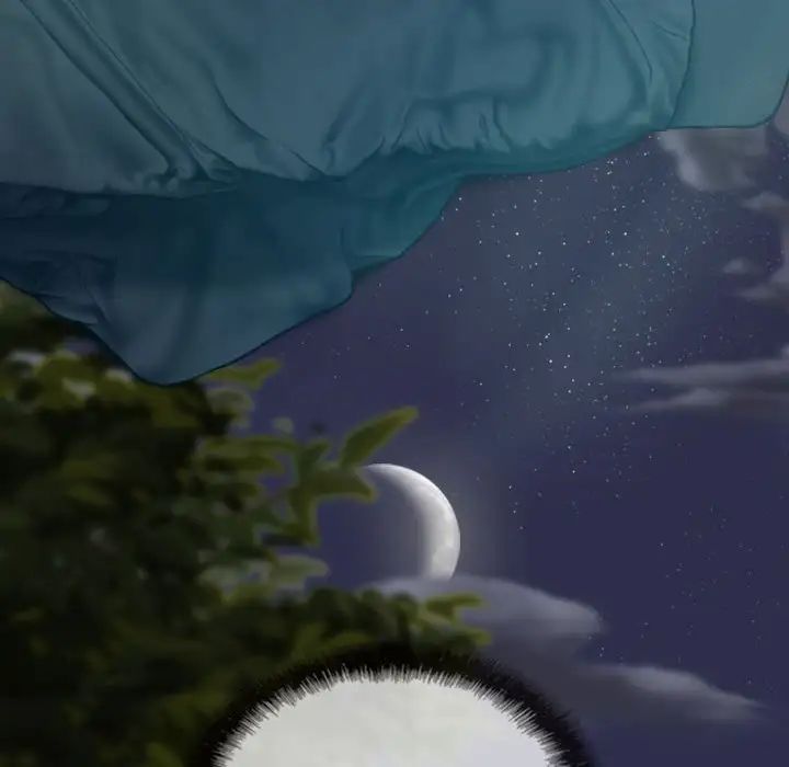 170.jpg