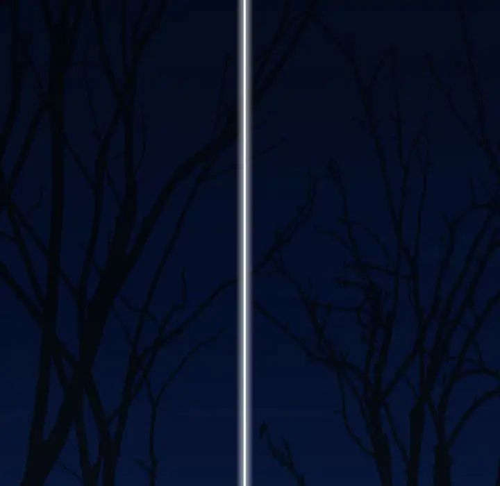 106.jpg