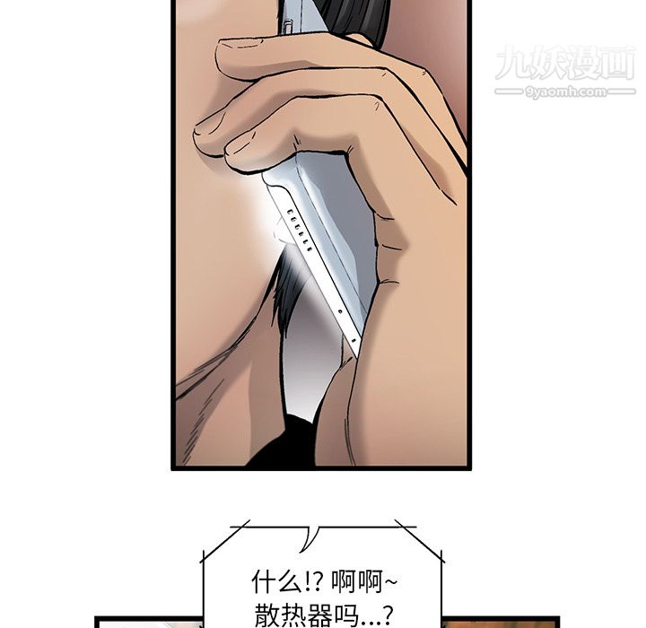 82.jpg