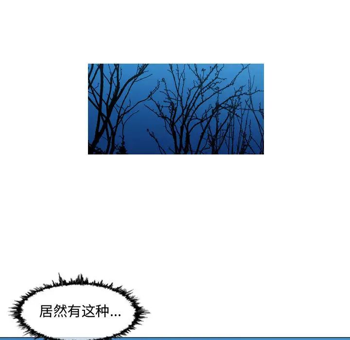 95.jpg