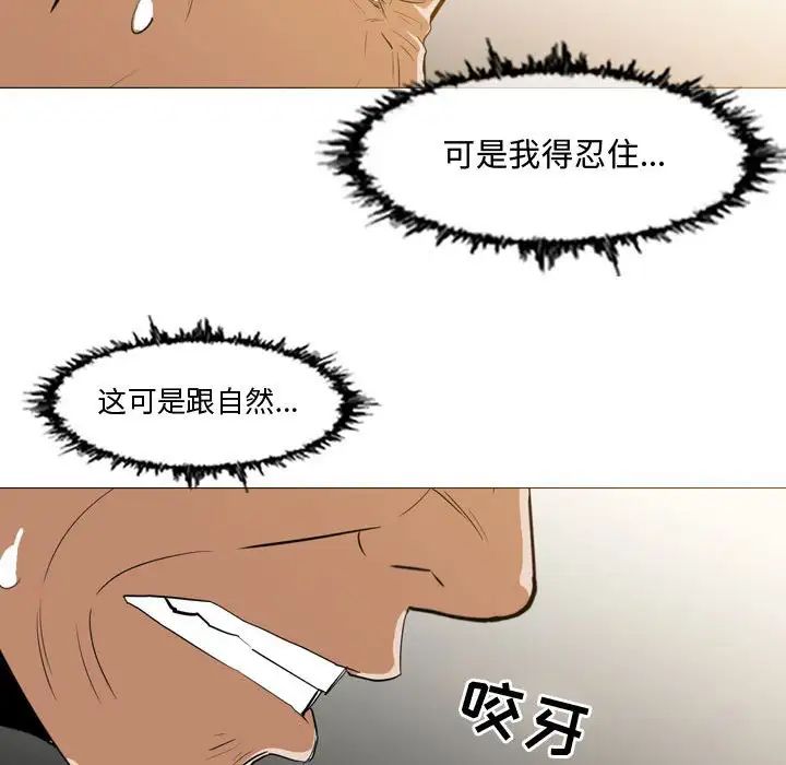 45.jpg