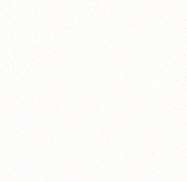 193.jpg