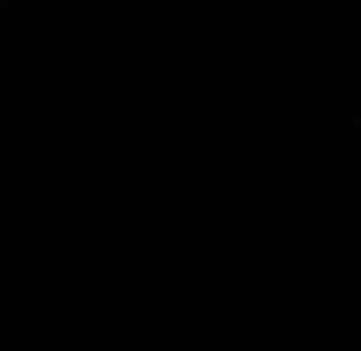 100.jpg