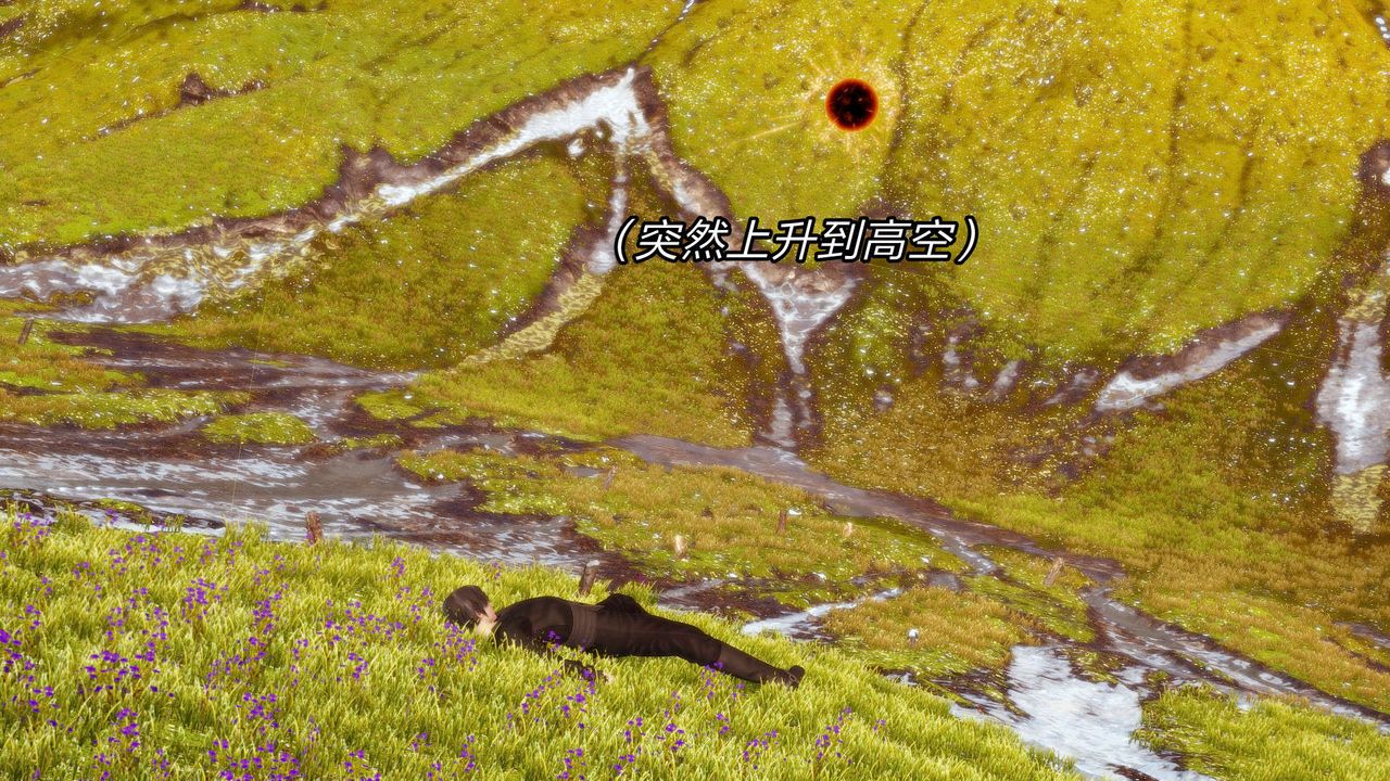 31.jpg