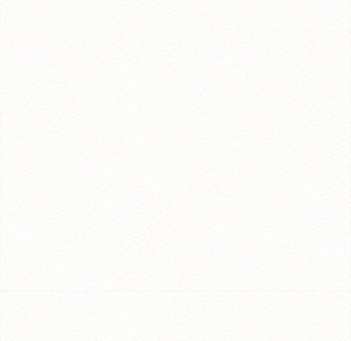 62.jpg