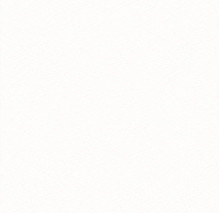 238.jpg