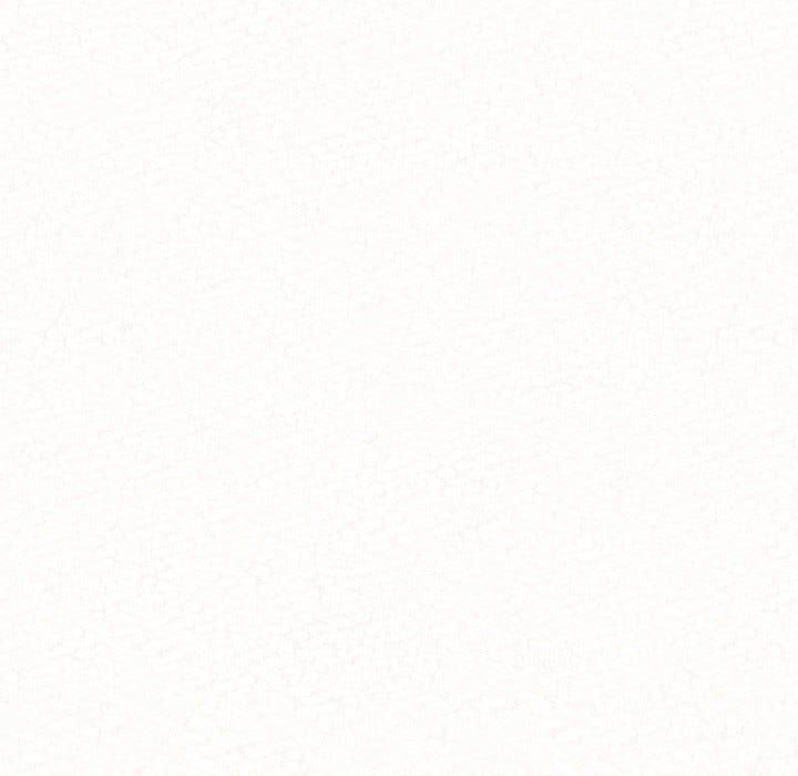 137.jpg