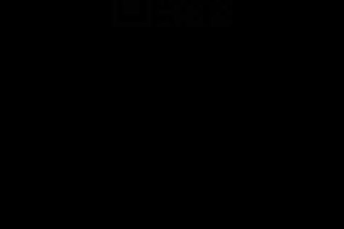 110.jpg