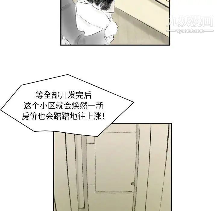 97.jpg