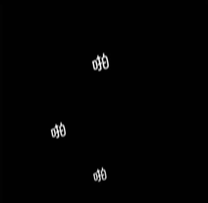 91.jpg