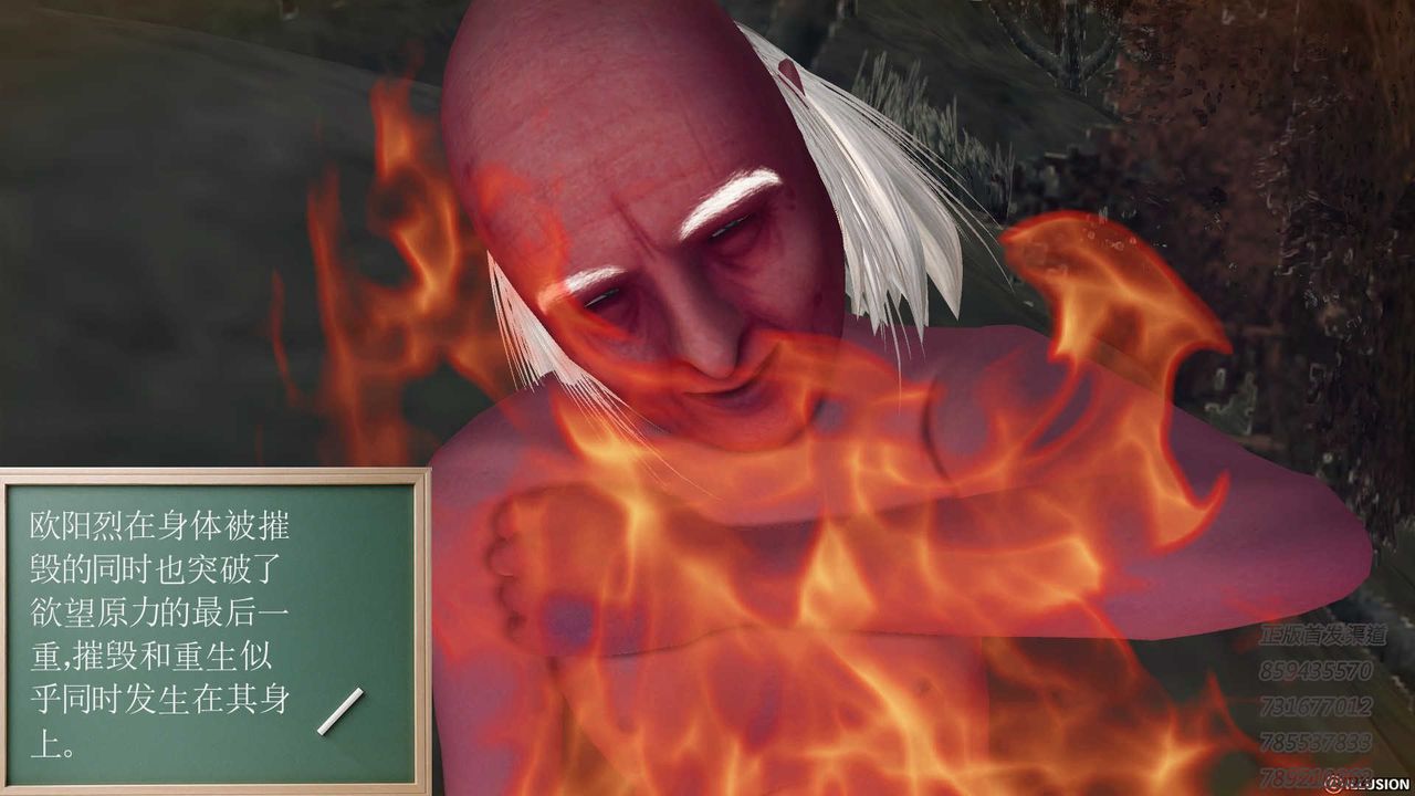 46.jpg