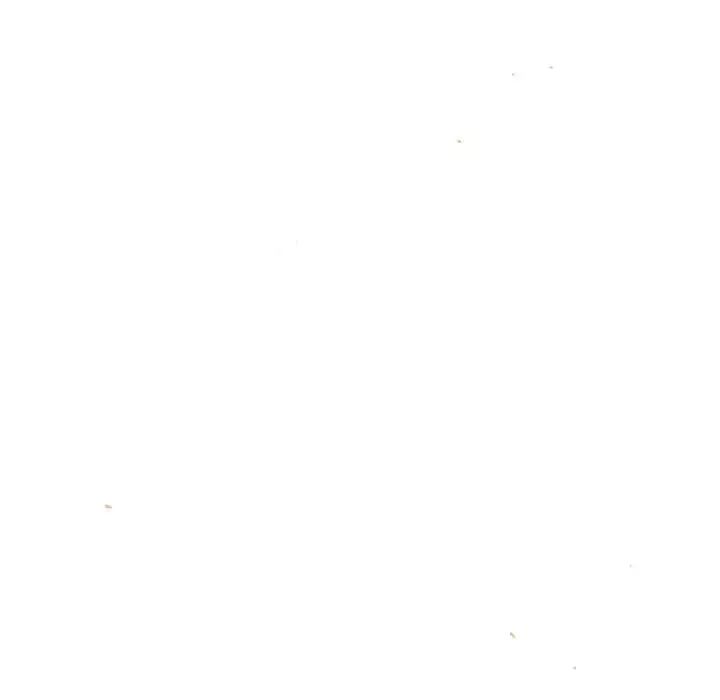189.jpg