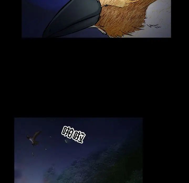 47.jpg