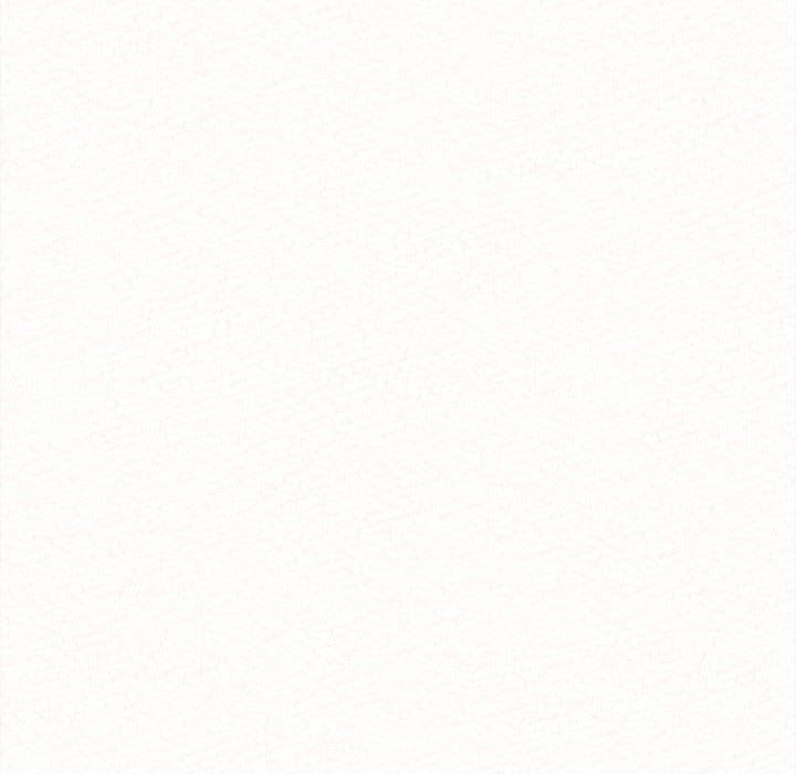 161.jpg