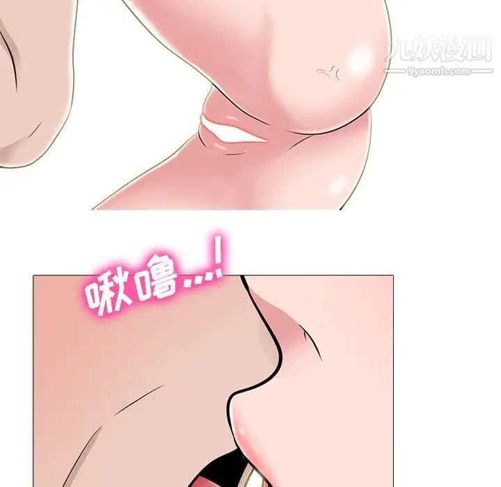 41.jpg